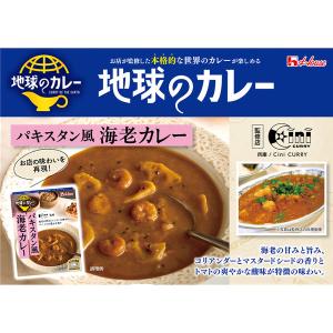 ハウス食品 地球のカレー パキスタン風海老カレ...の詳細画像2