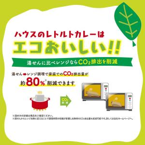ハウス食品 地球のカレー パキスタン風海老カレ...の詳細画像4