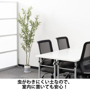 【用土】 室内でも安心!虫がわきにくい観葉植物...の詳細画像5