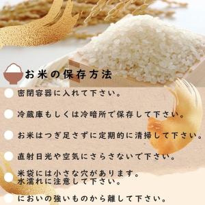 【アウトレット】【新米切替特価】北海道産ななつ...の詳細画像4