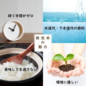 【アウトレット】【新米切替特価】北海道産ななつ...の詳細画像4