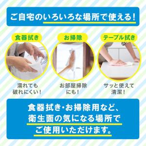 ネピア 激吸収ハンドタオルBOX 5個パック ...の詳細画像4
