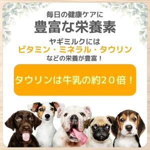 ロイヤルゴート ミルク入り ビスケット スティ...の詳細画像3