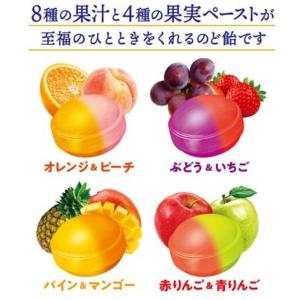 キャンディ 飴 のど飴 バヤリース至福の果実の...の詳細画像2