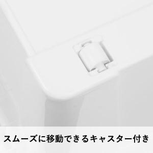 【収納ボックス】 ユメミグサ 収納ボックス ホ...の詳細画像3