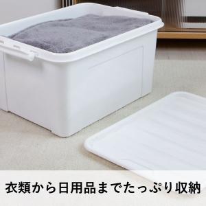 【収納ボックス】 ユメミグサ 収納ボックス ホ...の詳細画像4