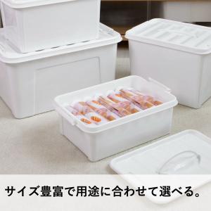 【収納ボックス】 ユメミグサ 収納ボックス ホ...の詳細画像5