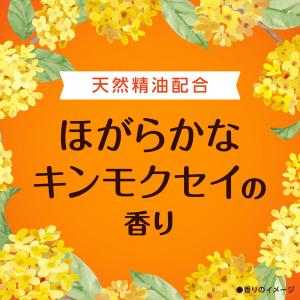 スッキーリ! トイレ用 消臭剤 芳香剤 置き型...の詳細画像5