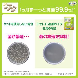 (ワゴンセール) デオトイレ 消臭・抗菌サンド...の詳細画像4