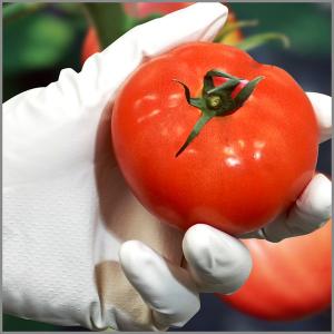 【ニトリル手袋】 エステー ニトリルフィット ...の詳細画像4