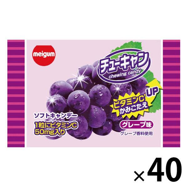 子ども向けお菓子 駄菓子 チューキャン グレープ 13g 1セット（1個×40）