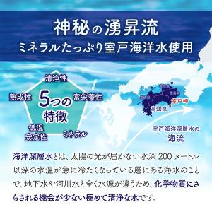 【10年保存水】ピースアップ 10年 長期保存...の詳細画像4