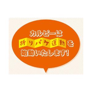 ポテトチップス スナック菓子 おつまみ カルビ...の詳細画像5