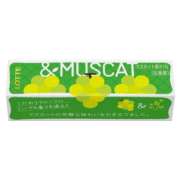ガム こだわりフルーツ ＆マスカット 1個