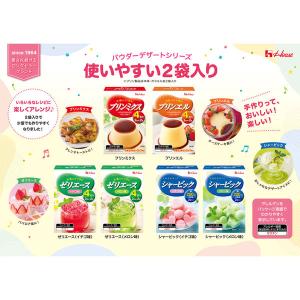 シャービック メロン味 1個 ハウス食品 製菓...の詳細画像5