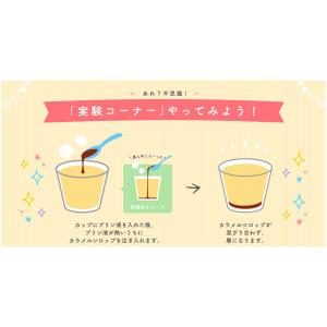 プリンミクス 1個 ハウス食品 製菓材 手作りお菓子の詳細画像3