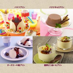 プリンエル 1個 ハウス食品 製菓材 手作りお菓子の詳細画像5
