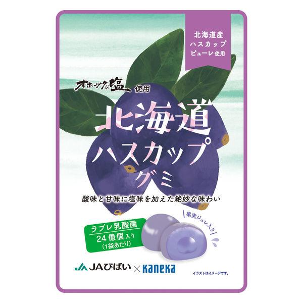 北海道ハスカップグミラブレ乳酸菌入 グミ ご当地 1個 カネカ食品