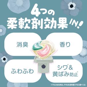 ボールド洗濯洗剤 太陽のジェルボール 4 in...の詳細画像3