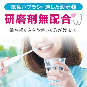 歯磨き粉 歯周病 システマ ハグキプラス ジェ...の詳細画像4