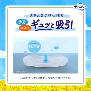 大容量 吸水ナプキン チャームナップ 吸水さら...の詳細画像2