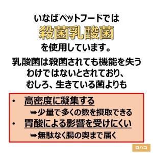 いなば CIAO(チャオ)すごい乳酸菌 クラン...の詳細画像5