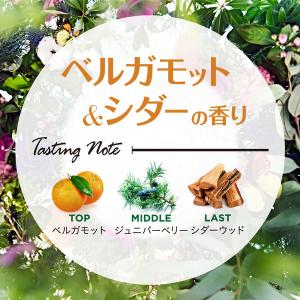 ランドリン ボタニカル ベルガモット&シダーの...の詳細画像2
