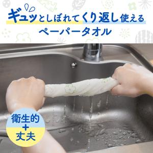 洗って使えるペーパータオル 1個(60カット×...の詳細画像1
