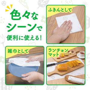 洗って使えるペーパータオル 1個(60カット×...の詳細画像3