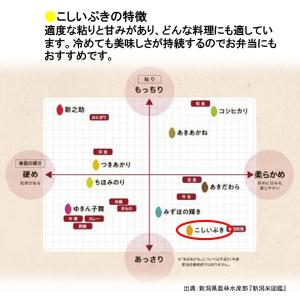(セール)【新米】新潟県産 こしいぶき 10k...の詳細画像3
