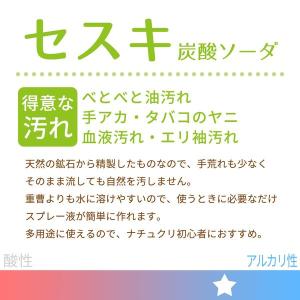 激落ちくん セスキ 超厚ウエットシート 1セッ...の詳細画像4