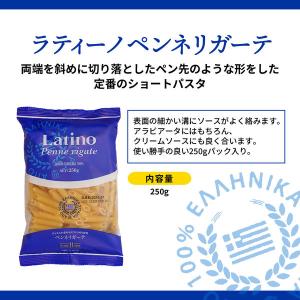 ラティーノ ペンネリガーテ 袋 250g ゆで...の詳細画像1