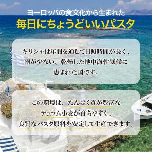 ラティーノ ペンネリガーテ 袋 250g ゆで...の詳細画像4