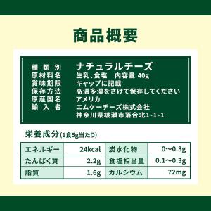 森永乳業 クラフト パルメザンチーズ40g 2...の詳細画像2