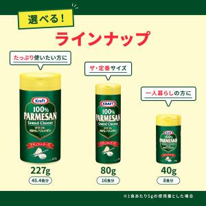 森永乳業 クラフト パルメザンチーズ40g 2...の詳細画像5