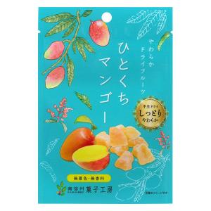 ドライフルーツ 食べきりサイズ ひとくちマンゴー 1個 南信州菓子工房