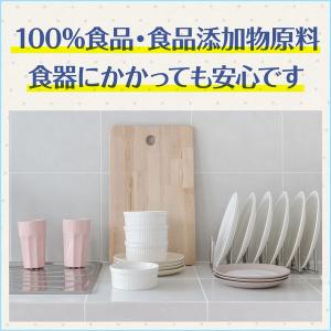 カビキラー アルコール除菌スプレー キッチン用...の詳細画像4