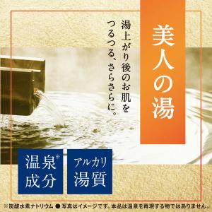入浴剤 粉末 温泉の素 温素 澄明の湯 600...の詳細画像3