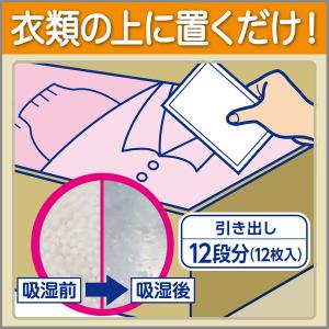 ドライペット 除湿剤 シートタイプ 引き出し・...の詳細画像5