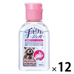 手ピカジェル　60mL　健栄製薬 12個