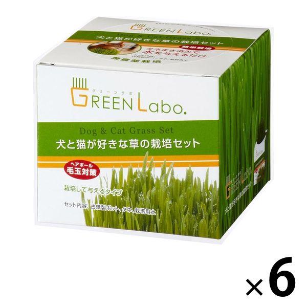 グリーンラボ（GREENlobo）ペットグラス 犬と猫が好きな草 栽培セット 6個 猫草 エイムクリ...