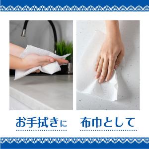 エリエール プラスキレイ すっきりお手ふきタオ...の詳細画像2
