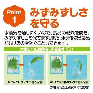 (増量品)NEWクレラップ ミニ 22cm×5...の詳細画像5