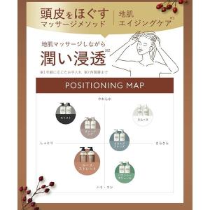 【アウトレット】数量限定 BOTANIST(ボ...の詳細画像2