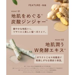 【アウトレット】数量限定 BOTANIST(ボ...の詳細画像5