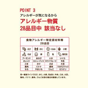 大塚食品 こどものためのボンカレー 1セット(...の詳細画像4