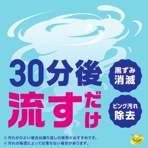 トイレ 掃除 洗剤 らくハピ いれるだけバブル...の詳細画像3