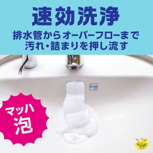 排水管 掃除 洗剤 らくハピ マッハ泡 バブル...の詳細画像3