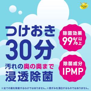排水管 掃除 洗剤 らくハピ マッハ泡 バブル...の詳細画像4
