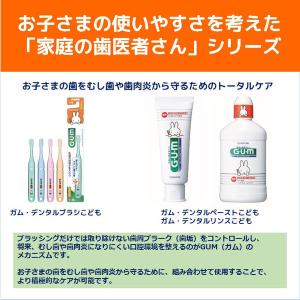 歯磨き粉 ガム デンタルペースト こども 70...の詳細画像2